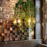 Vintage Metal Pendant Chandelier with 6 Antique Bulbs - Black Suspension Lamp for Restaurants and Plant Ceiling - If you're looking for a stylish yet modern and industrial lighting solution, then look no further than this Metal Bare Bulb Pendant Chandelier Antique